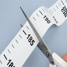 선물의 시간 키재기 스티커 200cm 키측정기