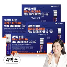 비타민마을 퍼펙트 이뮨 플러스 마그네슘 액상 멀티비타민, 7회분, 4개