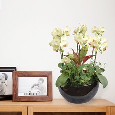 포춘MTFF045, 서울특별시／광역시／경기도, 베이직, 필요없음