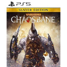 워해머 Chaosbane Slayer Edition Amazon.co.jp 한정 오리지널 PC 스마트폰 벽지 ※ 유효 기간 만료이므로 입수 불가 사용 불가, 상세페이지 참조