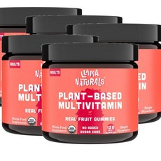 라마내추럴스 어덜트 리얼 과일 멀티비타민 구미 젤리 LLAMA NATURALS Adults Real Fruit Multivitamin, 5개, 120정