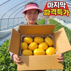 [당도보장] 마지막초특가 성주 꿀참외 가정용, 1박스, 5kg 초특가
