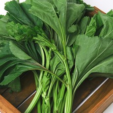 최상급 싱싱함 국내산 제철 아욱 특품, 1박스, 1kg