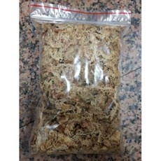 甲蟲專用水苔50g - 飼育專用水苔, 1個, 草
