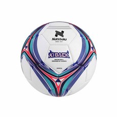 어린이 축구공 5호 합성피혁 훈련용 가족운동, 1개, NSKB-5