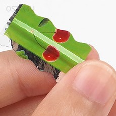 오스틴포유 원형 과일꽂이 300p 샌드위치꽂이