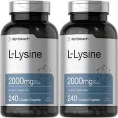 호바흐 엘 라이신 2000mg, 240개, 2개, 240개
