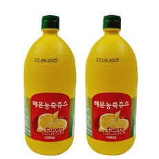 SIB선인 레몬농축쥬스, 1L, 2개
