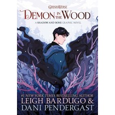 (영문도서) Demon in the Wood Graphic Novel Hardcover, Roaring Brook Press, English, 9781250624642