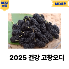 국내산 2025년 고창 햇 토종 오디 오디열매, 1개, 과상 2호 특품 1kg