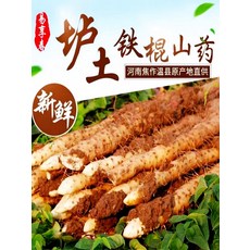 허난 교주 철스틱 얌 풀 파운드, 76cm 2500g, 1개