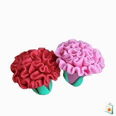 OS 비누찰흙 향기 5월의 카네이션 어버이날 스승의날 만들기 1인용 유치원만들기키트 초등학생만들기키트