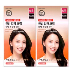 댕기머리 한방칼라크림 새치머리용, 흑갈색, 2개, 2개