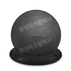 프리미엄 짐볼 홈트 코어 무광 블랙 55cm 방폭+에어 운동 2개세트 키150-160cm 필라테스공 체어, 55cm (150-160cm), 보라 무광 방폭 2종