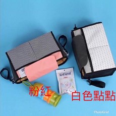 Recaro Easylife原廠蚊帳 防蚊透氣 安裝簡便 寶寶外出必備 粉紅收納包 白色 自選, 1個, 粉紅收納包/白色（2亇）自選　現