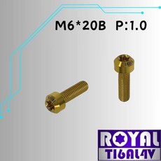 ROYAL 鈦合金 M6*20B P:1.0 錐形螺絲, 1個