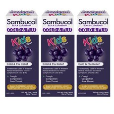 Sambucol Cold Flu 삼부콜 키즈 어린이 유아 콜드 앤 플루 리퀴드 액상 블랙 엘더베리 120mL, 3개