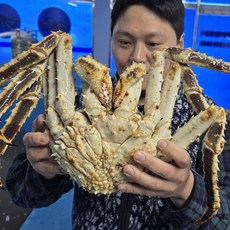 러시아 자숙 블루킹크랩 1마리, 1개, 6kg