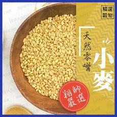 小麥 鸚鵡零食 鸚鵡飼料 鳥飼料 小寵零食 貓草種植 貓草 鸚鵡天然零嘴 翔帥寵物生活館, 1個, 50g