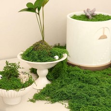 화분 실내용 가짜 녹색 이끼 DIY 공예용 5.3온스 인조 화분용 장식용 잔디 모형 제작 테이블 중앙 조각 벽 결혼식 테라리움 요정 정원 액세서리, 5.3oz