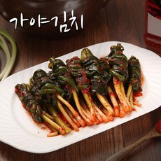 가야 프리미엄 파김치, 1개, 5kg