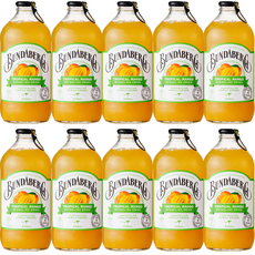 분다버그 트로피칼 망고 드링크, 375ml, 10개