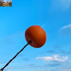 장식 귀여운 채소 꾸미기 실외 과일 호환 차량용 안테나볼 소품 튜닝 용품, 귤에는 안테나가 없다.