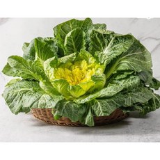 싱싱한 제철 봄동 배추, 2kg