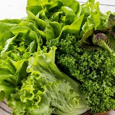 국내산 유기농 쌈채소 모듬 600g 1kg(5-7종) / HQ, 01.유기농 쌈채소 모듬 600g, 1개