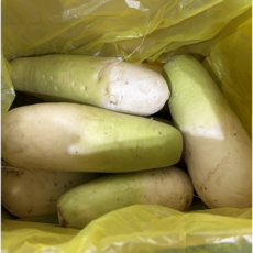 초록마루 맛있는 제주 월동무우 김장용 세척무, 1박스, 5KG