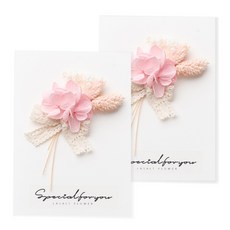 라솔트 프리저브드 플라워 카드 + 투명 케이스 세트, 샴페인핑크