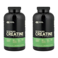 옵티멈 뉴트리션 마이크로나이즈드 크레아틴 1 250 mg Optimum Nutrition Micronized Creatine 300정, 2개