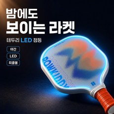 루모픽 밤에 보이는 라켓 LED피클볼, 1개, 일반 공 4개
