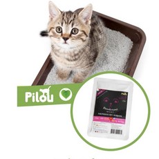 고양이 모래 탈취제 50g (라벤다향) 화장실 살균 pilou 필루 고양이똥냄새 세균 탈취제 악취제거 오줌냄새제거 모래탈취 고양이탈취제 고양이오줌냄새제거+노드커머스Shop, 빠른배송, 1