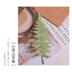 小高山羊齒 結霜羊齒 聖誕花圈材料, 1個