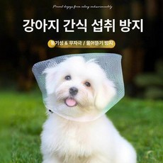 윤화마켓 강아지커버 양봉모자 해충방지 페이스, 화이트 메시 1개, 1개