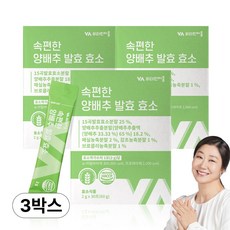비타민마을 속편한 양배추 발효 효소, 60g, 3개