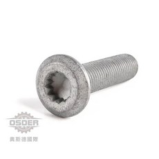 奧斯德VAG WHT000237A 福斯 奧迪 斯柯達 螺絲 軸承螺絲 德國原廠, 1個