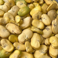 자이언트 파바빈 1kg (500g+500g) 껍질 깐 탈피 잠두콩, 500g