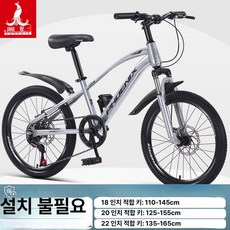 KN 20인치자전거 20인치자전거 자전거20인치, 단일 속도, 18인치, 스포크 휠 실버그레이 A