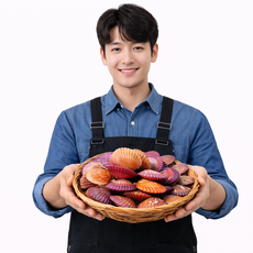 (품질보장) 산지직송 통영 정품 홍가리비, 1개, 6kg