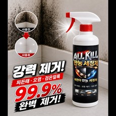 초강력 만능 곰팡이 제거제 화장실 베란다 방 올킬 500mL, 1개