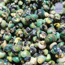 자숙 다슬기살 올갱이 깐다슬기 민물고동 탈각, 1개, 700g