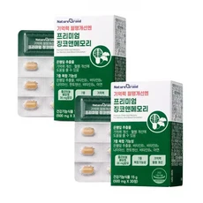 네이처그랜드 프리미엄 징코앤메모리 두뇌에 좋은영양제 500mg x 30정 2개, 1개