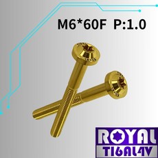 ROYAL 鈦合金螺絲 M6*60F P1.0 飛碟頭螺絲 土豪金, 1個