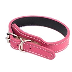 TW 애견목줄 산책용 반려견 강아지 악세사리용, 소, 1개