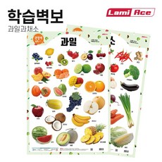 라미에이스 유아포스터 아기벽보 신생아 학습 벽그림 양면학습벽보 과일과채소 520x765mm, 단품