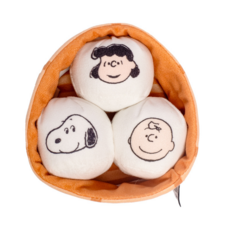 Kashima 史努比寵物玩具組 (查理布朗/史努比/露西) - 狗狗貓咪互動玩偶, 白色, 1個