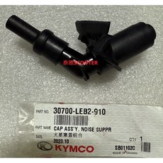 光陽 G5 125 雷霆 125 噴射 火星塞蓋 30700-LEB2-910, 1個