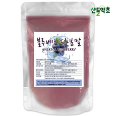 블루베리농축가루 미국산 블루베리 농축, 500g, 1세트